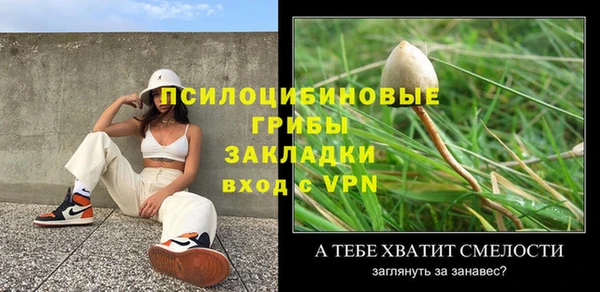 дживик Нея